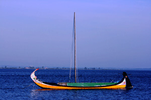 Moliceiro